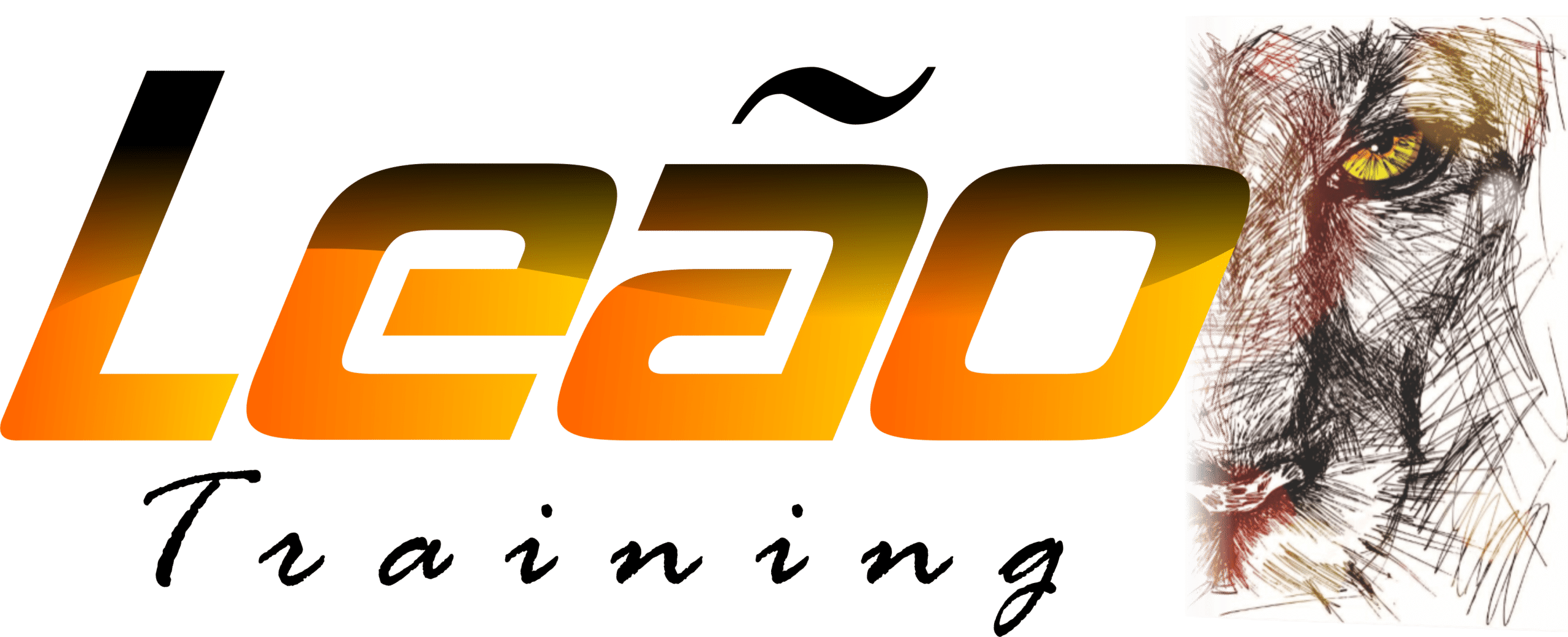 leao-training-fabio-CURVAS